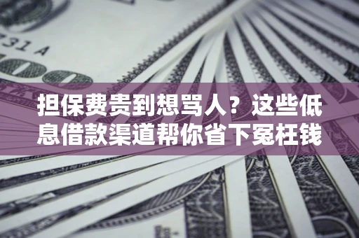济南担保费贵到想骂人？这些低息借款渠道帮你省下冤枉钱