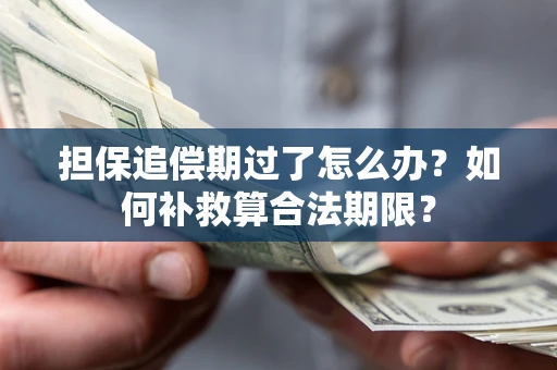 济南担保追偿期过了怎么办？如何补救算合法期限？
