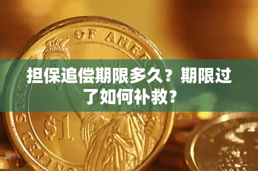 济南担保追偿期限多久？期限过了如何补救？